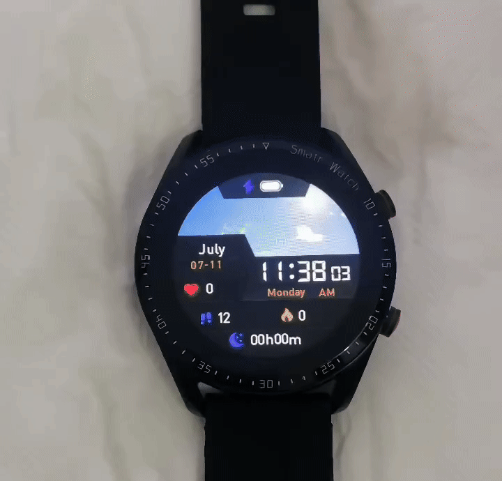SP1 ECG+PPG Smart Watch