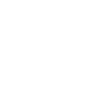 SP19.2.01'' Smart Watch
